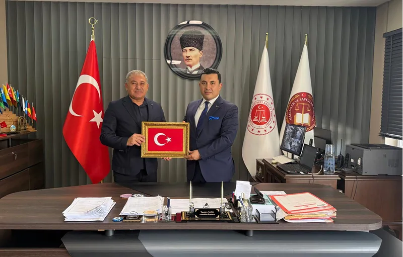 Türk Sağlık-Sen