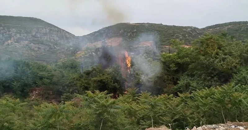 Hatay