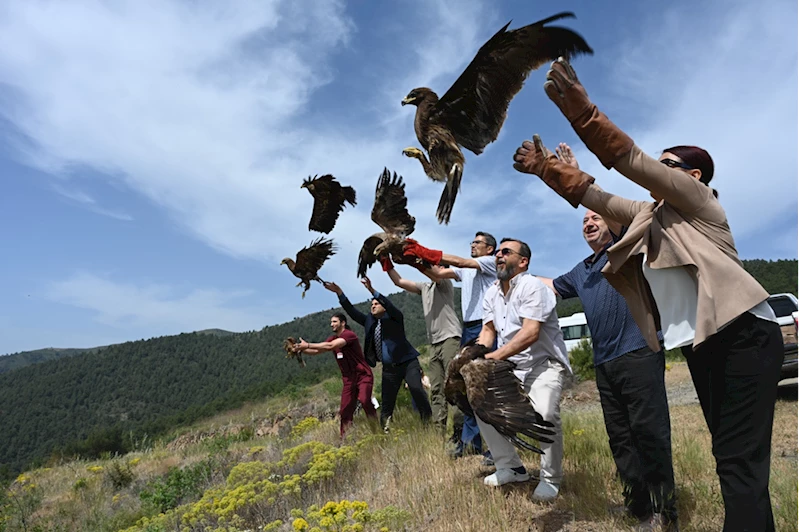 Hatay