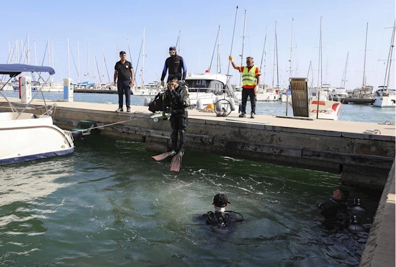 Mersin