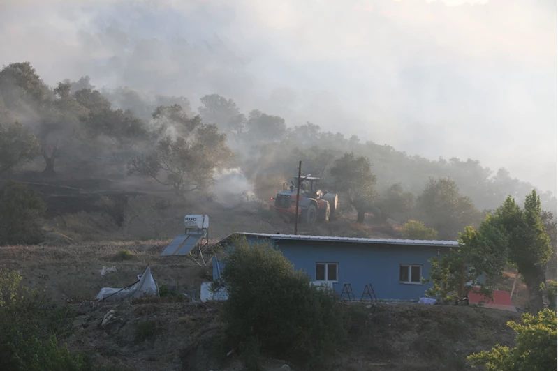 Hatay