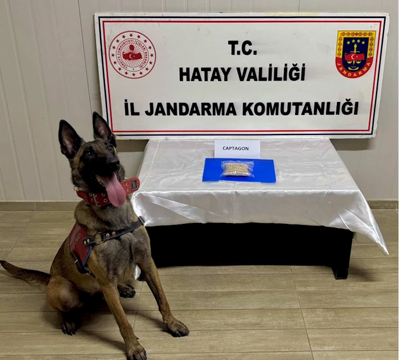 Hatay