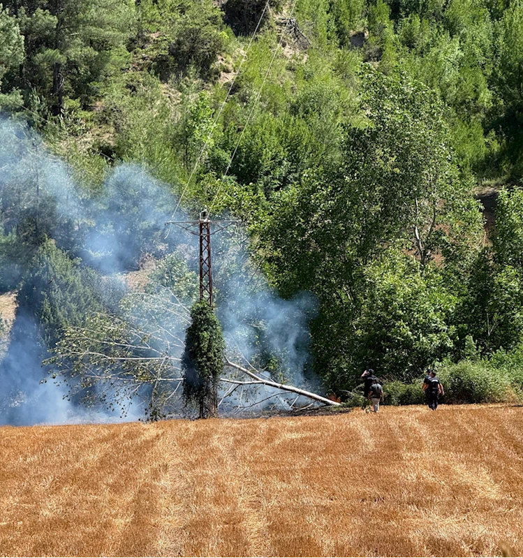 Adana