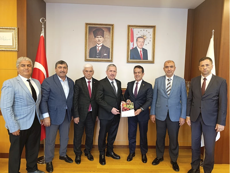 Antalya Tarım Konseyi yaş meyve sebze sektörü için rapor hazırladı