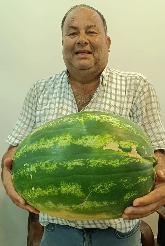Kozan