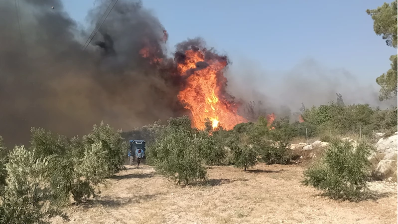 GÜNCELLEME - Mersin
