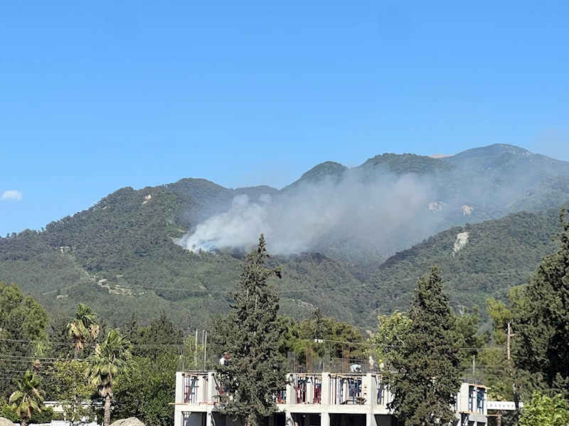 Hatay Dörtyol