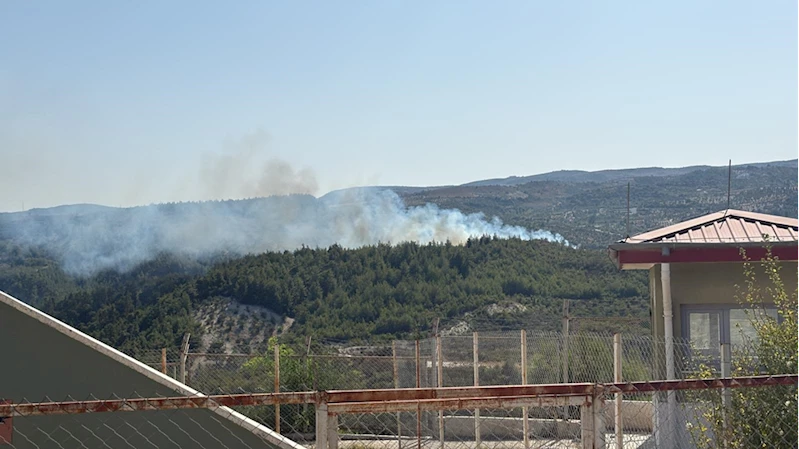 Hatay